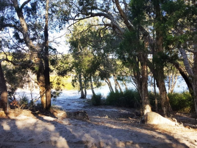 Brown Lake - North Stradbroke Island, Queensland, Australia